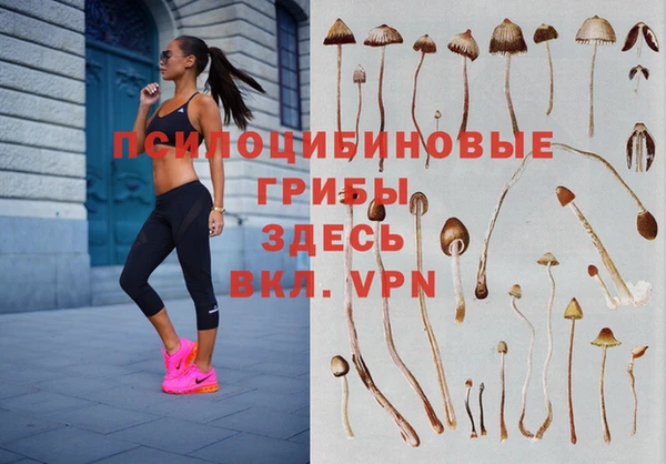 дмт Лиски