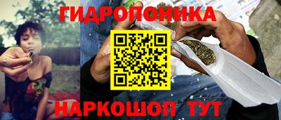 PSILOCYBIN Донской