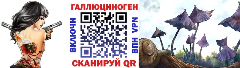 Псилоцибиновые грибы GOLDEN TEACHER  kraken   Котлас 