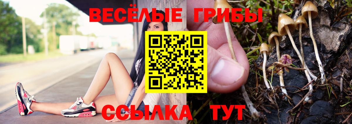 Котлас  Псилоцибиновые грибы Magic Shrooms  Вход с VPN 